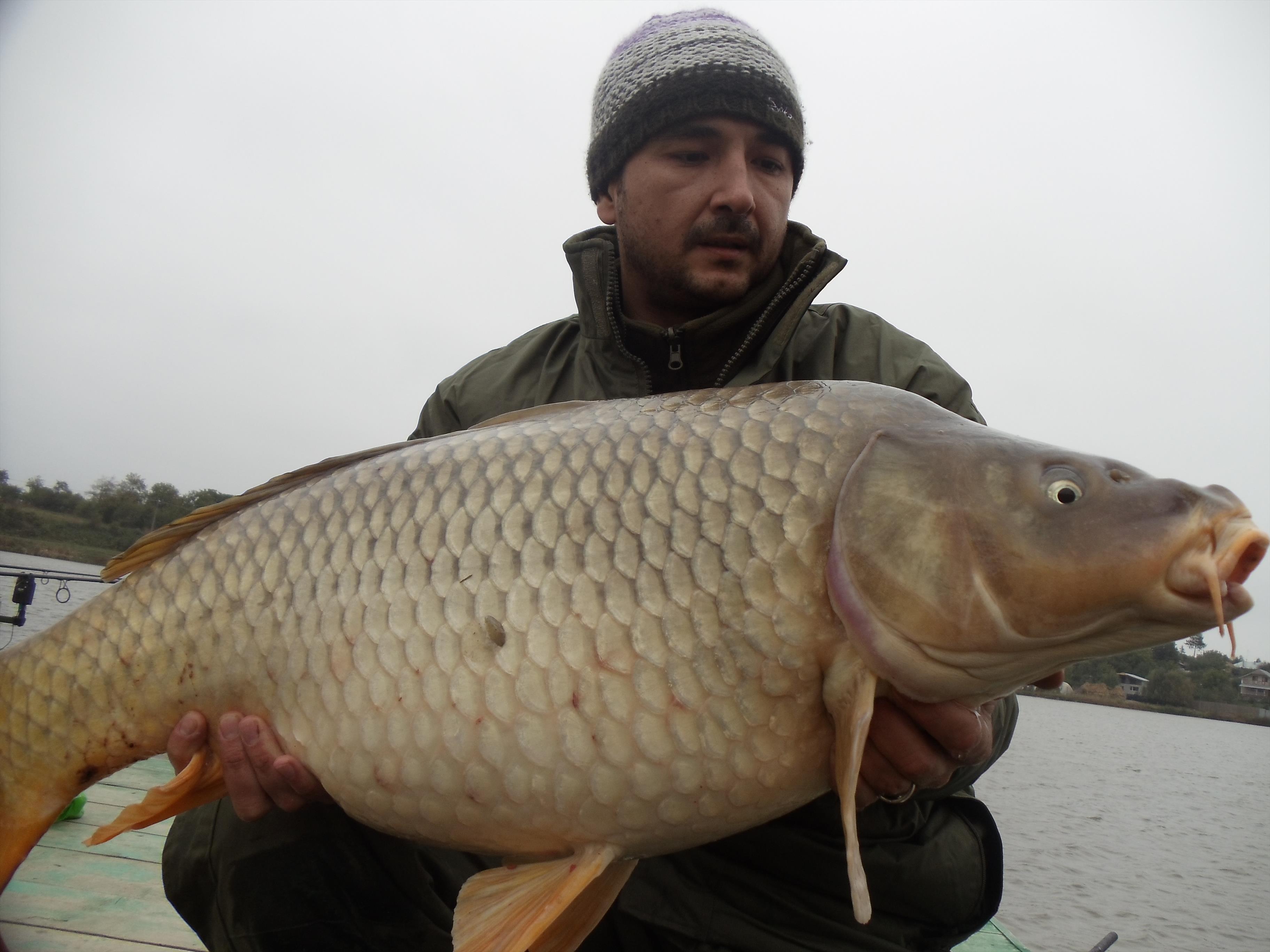 Moara Vlasiei 2012 - MV23.jpg